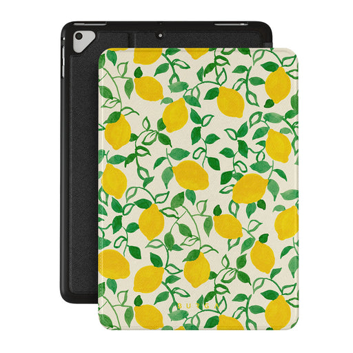 CM_15IP_iPAD_9.7
