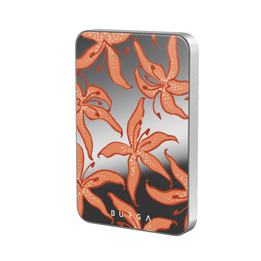 JL_02MS_HALO-MagPbank5K-SI